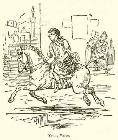 Unge Varro af John Leech