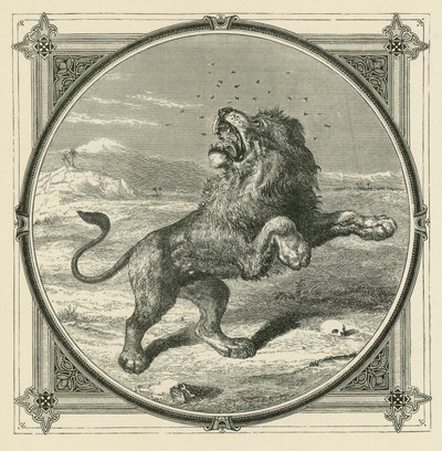 Myggen stikker løvens øjne (gravering) af John Leighton