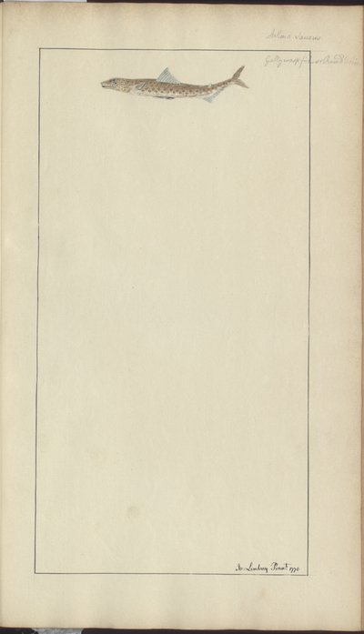 Lindsay Drawings Vol. VII, 23 af John Lindsay