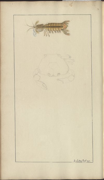 Lindsay Drawings Vol. VII, 24 af John Lindsay