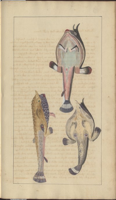 Lindsay Drawings Vol. VII, 27 af John Lindsay