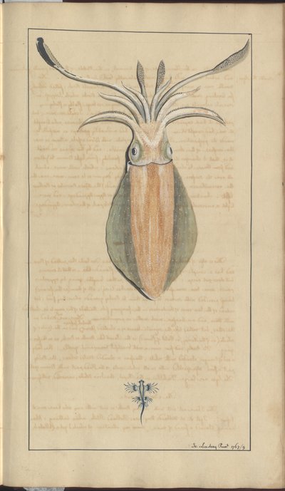 Lindsay Drawings Vol. VII, 29 af John Lindsay