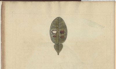 Lindsay Drawings Vol. VII, 3 af John Lindsay