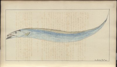 Lindsay Drawings Vol. VII, 9 af John Lindsay