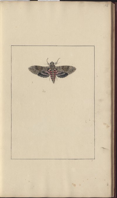 Lindsay Drawings Vol. VI af John Lindsay