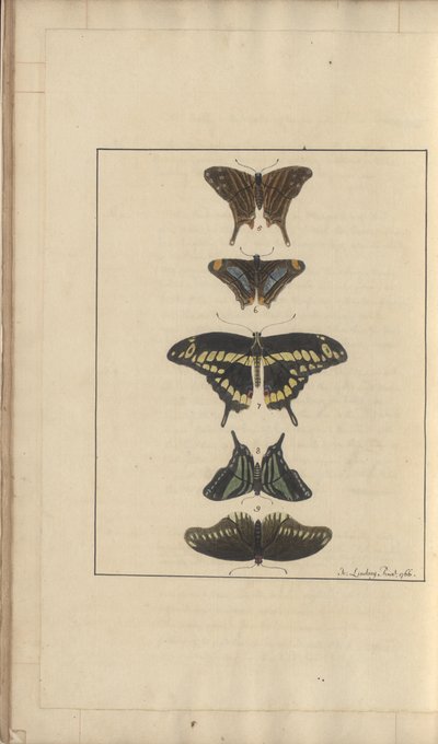 Lindsay Drawings Vol. VI, 31 af John Lindsay