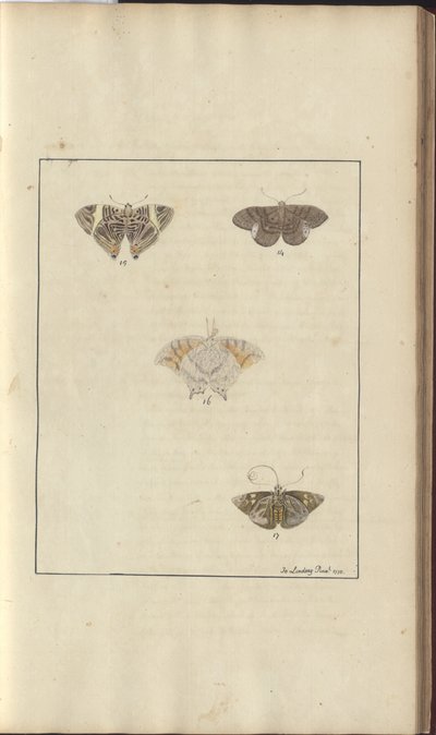 Lindsay Drawings Vol. VI, 42 af John Lindsay