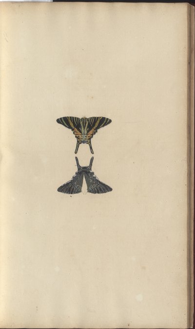 Lindsay Drawings Vol. VI, 48 af John Lindsay