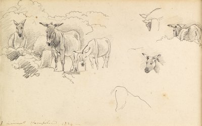 Æsler, 1824 af John Linnell