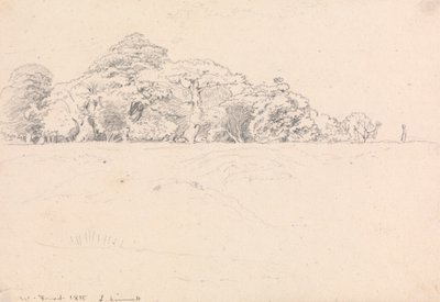 Windsor Skov af John Linnell
