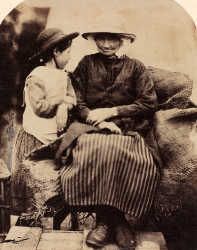 Tjenere i Rhagatt, Corwen, North Wales, ca. 1860. af John Lloyd