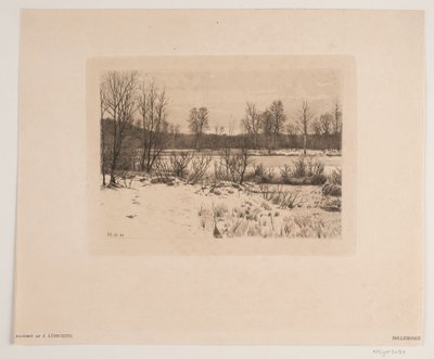 Bøllemosen af John Lübschitz