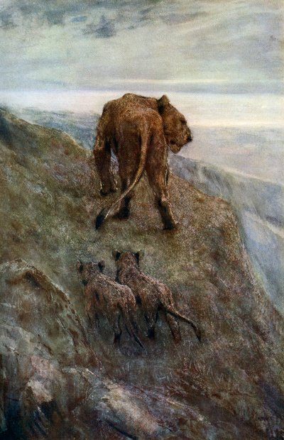 På vagt - Løvinde og unger, c1878-1910, 1912. af John Macallan Swan
