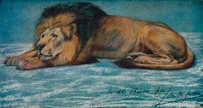 Pastelstudie af en løve, c1900 af John Macallan Swan