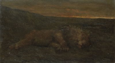 Sovende løve om natten af John Macallan Swan