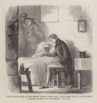 Illustration til store forventninger af John McLenan