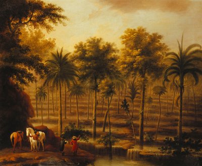 Udsigt over Roaring River Cascades, Jamaica af John Milton