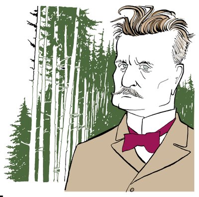 Jean Sibelius på baggrund af finske skove af John Minnion