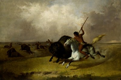 Buffalo Hunt on the Southwestern Prairies, 1845. af John Mix Stanley