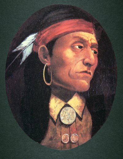 Pontiac (1720-69) 1763 (olie på lærred) af John Mix Stanley
