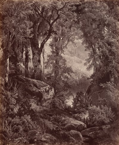 Ensomhed,1865 (foto) af John Moran