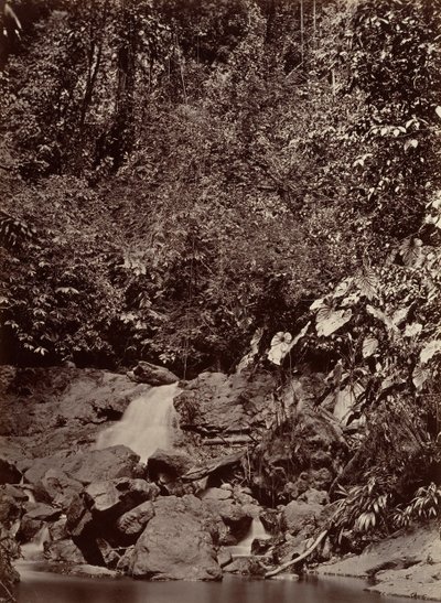 Tropisk landskab, Cascade, Limon River, 1871. af John Moran