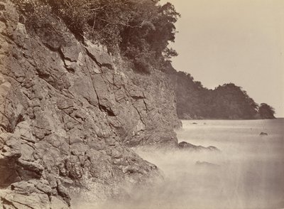 Tropisk landskab, Cliff - Limon Bay, 1871. af John Moran