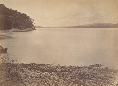 Tropical Scenery, Darien Harbour - Looking South, 1871. af John Moran