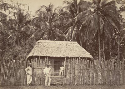 Tropisk landskab, Native Hut, Turbo, 1871. af John Moran
