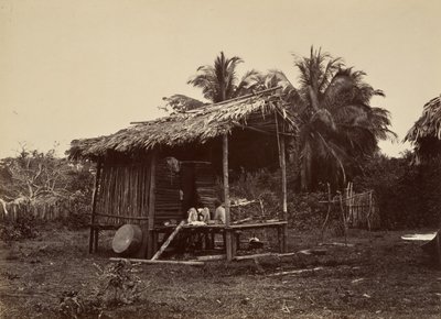 Tropisk landskab, Native Hut, Turbo, 1871. af John Moran