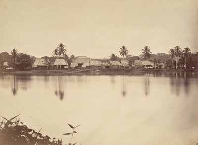 Tropisk landskab, Santa Maria del Real, Darien, 1871. af John Moran