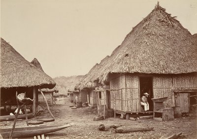 Tropisk landskab, Street, Chipigana, 1871. af John Moran