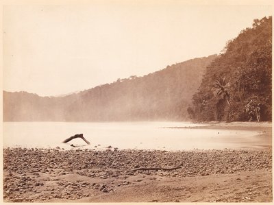 Tropisk landskab: Endestationen for den foreslåede kanal, Limon Bay (Darien-ekspeditionen) af John Moran