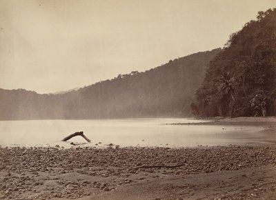 Tropisk landskab, endestationen af den foreslåede kanal, Limon Bay, 1871. af John Moran