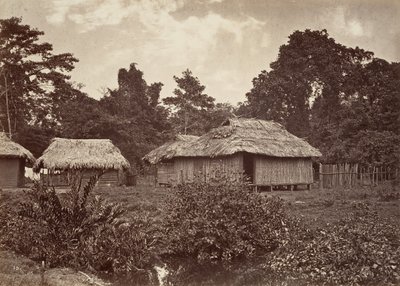 Tropisk landskab, Turbo Village, 1871. af John Moran