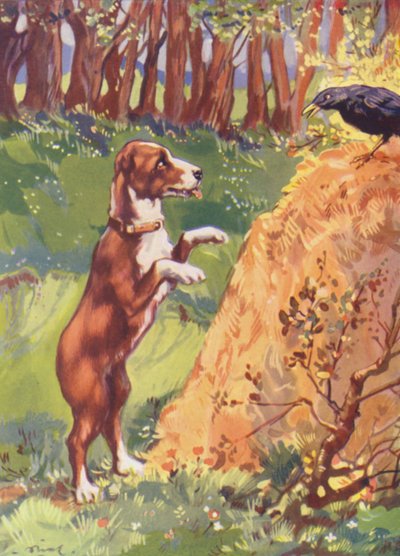 Illustration til Beautiful Joe af Marshall Saunders (farvelitografi) af John Nicholson