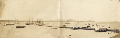 Auckland Harbour, 1865 (albumin print) af John Nicol Crombie