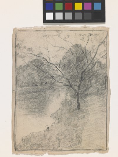 Tree Beside A Stream (blyant på råhvidt papir) af John Otis Adams