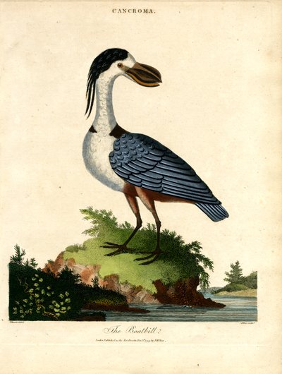 Bådbladet af John Pass