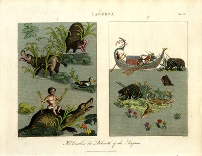 Skriftens Leviathan og Behemoth af John Pass