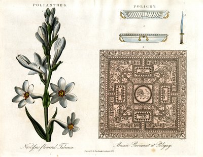 Tuberose og romersk mosaik af John Pass