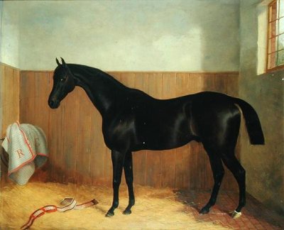 Tommy, Portrait of a Horse, ca. 1870