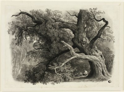 Gammelt træ i Billah - Sherwood-skoven af John Rawson Walker