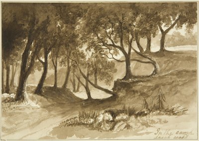 Udsigt i Burwalls Camp, Leigh Woods af John Reverend Eden