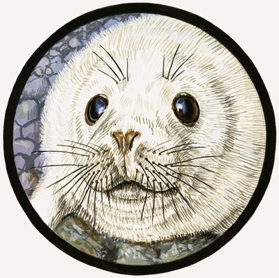 Vores havven sælen af John Rignall