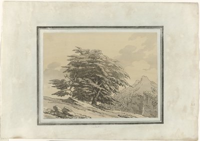 Ceder af John Robert Cozens