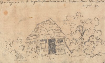 Pagliaro i Myrtle Plantage i Sir William Hamilton