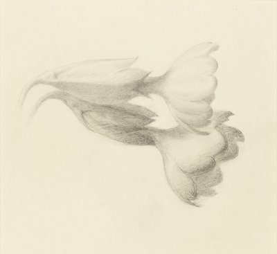 Cowslip Bells, sandsynligvis 1871. af John Ruskin