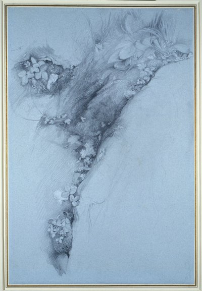 Mos og vilde jordbær af John Ruskin