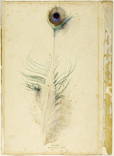 Påfuglefjer af John Ruskin